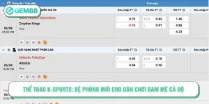 Thể Thao K-Sports